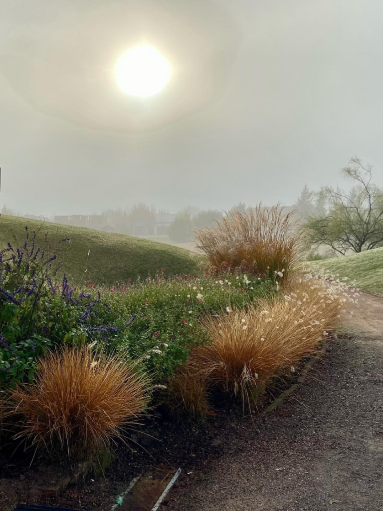estancias-Golf-8